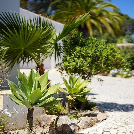 فيلة Casa Pitanga *