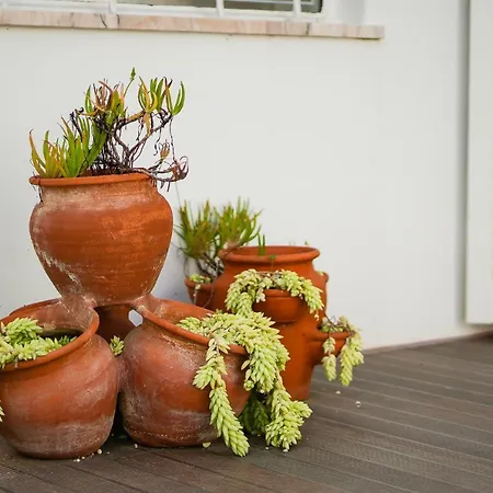 Casa Pitanga וילה קארבואירו