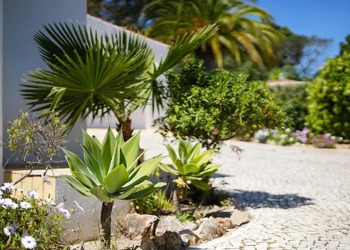 别墅 Casa Pitanga *