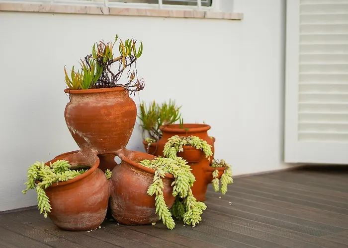 Casa Pitanga Villa Carvoeiro