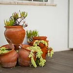 Casa Pitanga ヴィラ カルヴォエイロ